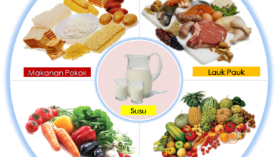 Manfaat Dan Jenis Makanan Bergizi: Panduan Sehat Untuk Keseharian