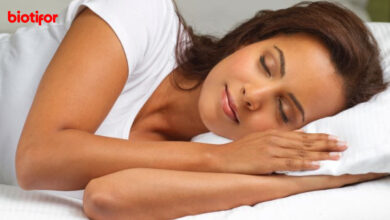 Tidur Cukup: Kunci Kesehatan Dan Kesejahteraan