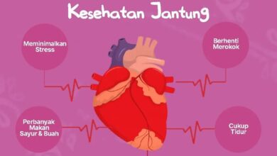 Pentingnya Kesehatan Jantung: Tips Dan Informasi Terkini